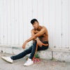 Picket Fences - Single