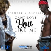 Can't Love You Like Me artwork