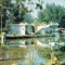 Hamilton Road - Ducktails lyrics