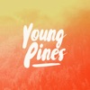 Young Pines - Single artwork