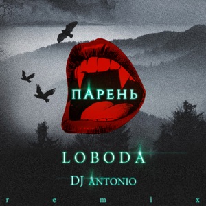 LOBODA Парень (DJ Antonio Remix)