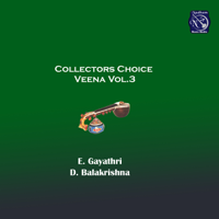 Various Artists - Collectors Choice Veena, Vol. 3 (Live) artwork
