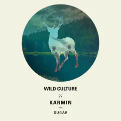 Sugar (Wild Culture vs. Karmin) [Club Edit] Song Lyrics