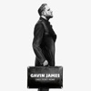 Gavin James - Glow
