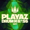 Playaz Drum & Bass 2017, 2018