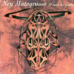 O Cair Da Tarde - Ney Matogrosso