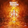 Sonic Sense & Funky Dragon - Vishnu