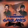 Los Tremendos Gavilanes, Vol. 1