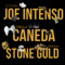 L'uomo della pioggia (feat. Caneda & $tone Gold) - Joe Intenso lyrics
