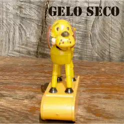 Gelo Seco - Gelo Seco