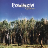 Pow Wow - Le chat