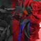 Absoluto (feat. Extrato) - Vasco lyrics