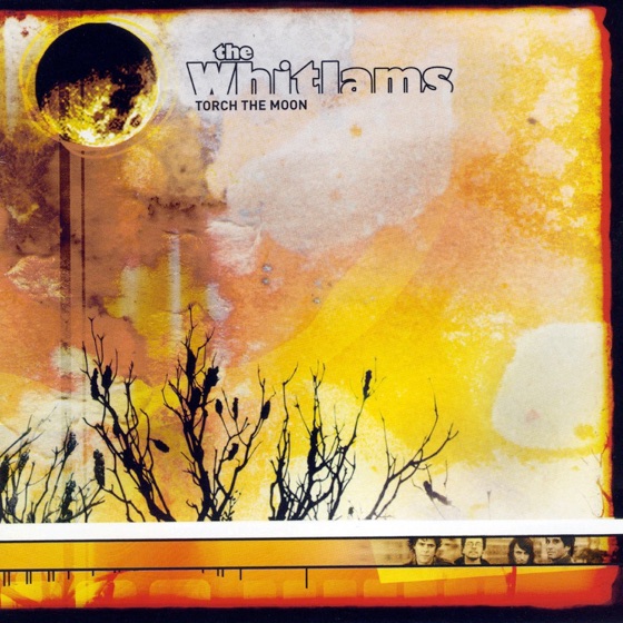 Cover artwork for Fall for You