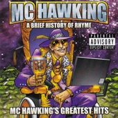 A Brief History of Rhyme: MC Hawking's Greatest Hits artwork