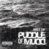 Puddle of Mudd - She Fucking Hates Me