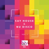 Say House & Nu Disco Vol.1 artwork