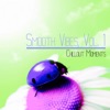 Smooth Vibes, Vol. 1 (Chillout Moments)