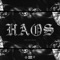 Haos (feat. Sapte, Nane & Ian) - Azteca lyrics