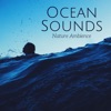 Ocean Sounds Collection - Relax Way
