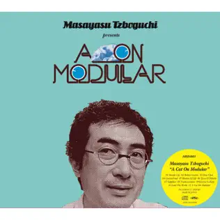 descargar álbum Masayasu Tzboguchi - A Cat On Modular