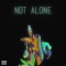Not Alone - Jake Hallendorff lyrics