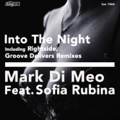 Into the Night (feat. Sofia Rubina) [Rightside Remix] artwork