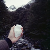 Puerto Austral - Bambú