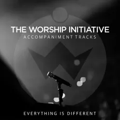 Everything Is Different (The Worship Initiative Accompaniment) - Single - Shane and Shane