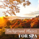 Background Music for Spas - Afternoon in the Forest, Peaceful Meditation for Mindfulness artwork