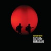Caetano Veloso - Odeio (Live)