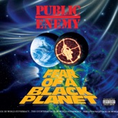 Public Enemy - Brothers Gonna Work It Out