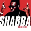 The Best of Shabba Ranks, 2001