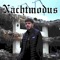 Nachtmodus (feat. Johnson & Jiri11) - Anbu lyrics