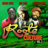 Roots & Culture, Vol. 2 artwork
