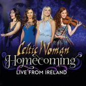 Homecoming – Live From Ireland artwork