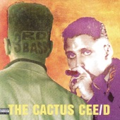 3rd Bass - Brooklyn - Queens