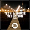 Tech & House Selection 2017, 2017