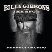 Billy Gibbons And The BFG's - Piedras Negras