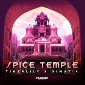 Spice Temple (Overdrive Remix) artwork