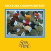 Mixtum Compositum