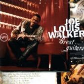 Joe Louis Walker - Fix Our Love