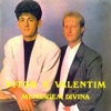 Vitor e Valentim - Saudade
