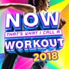 NOW That's What I Call a Workout 2018