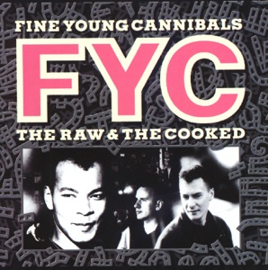 Fine Young Cannibals - She Drives Me Crazy - 排舞 音乐