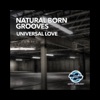 Universal Love - Single, 2017