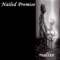 Firm - Nailed Promise lyrics