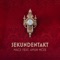 Sekundentakt (feat. Amun Mcee) - Mace lyrics