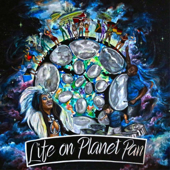 Life On Planet Pan - Calypsonic Steel Orchestra