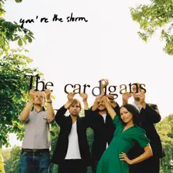 You're the Storm - Single - The Cardigans