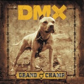 Grand Champ (Bonus Track Version) artwork